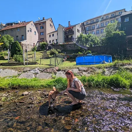 Urlaubsmagie - Farngruen - Sauna & Saisonaler Pool, Bis Zu 10p Apartmán