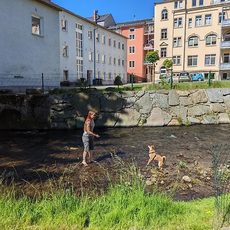Apartmán Urlaubsmagie - Farngruen - Sauna & Saisonaler Pool, Bis Zu 10p Sebnitz