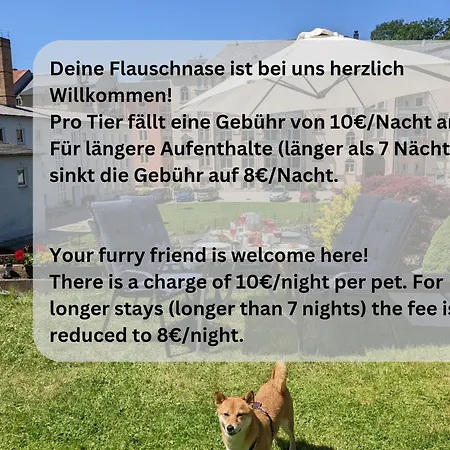 F4 - Urlaubsmagie - Grosse Fuer Bis Zu 10 Personen Apartment Sebnitz